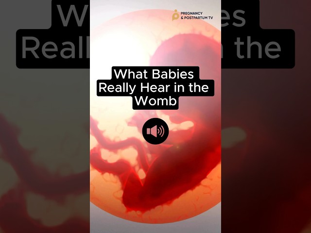 👂What Babies HEAR In WOMB (Sound ON 📣) #fetus