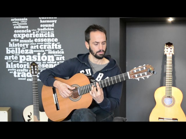 Manuel Rodríguez guitar review: C1 (English subtitles)