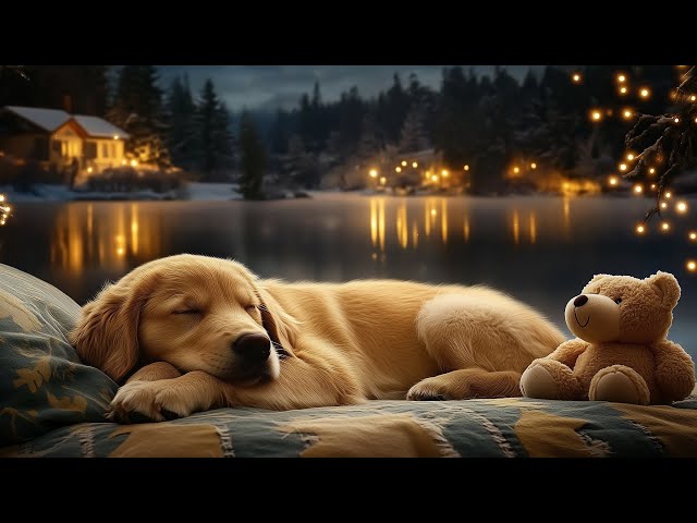 12 Hours Anti Anxiety Music for Dogs 🐶 Stress Relief Music For Dogs ♬ Calming Music For Dogs