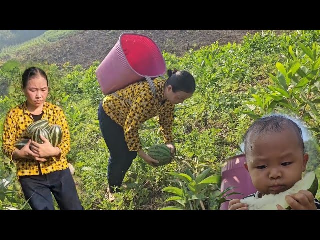 single mother: the miserable and helpless life of mother and child before the yagi storm