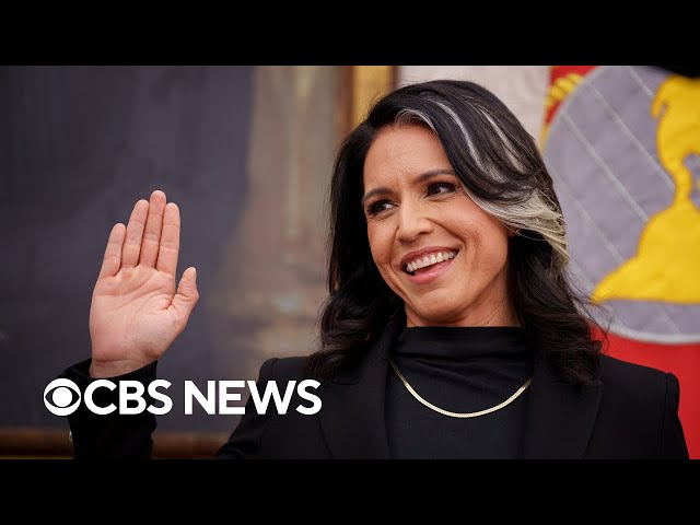 Senate confirms Tulsi Gabbard, Trump says he'll likely meet with Putin, more | America Decides