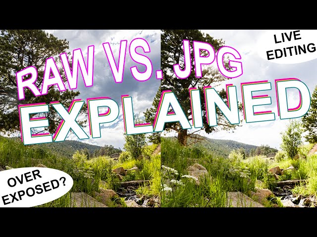 RAW vs. JPG: EASY trick for better editing!