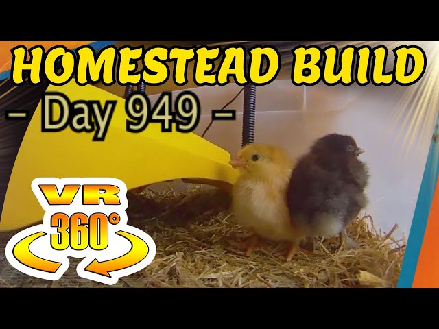 Homestead Building - Chicken Coop Building