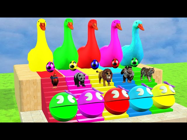 Long Slide Game With Elephant Gorilla Buffalo Hippopotamus Tiger 3d Animal Game Funny 3d Animals