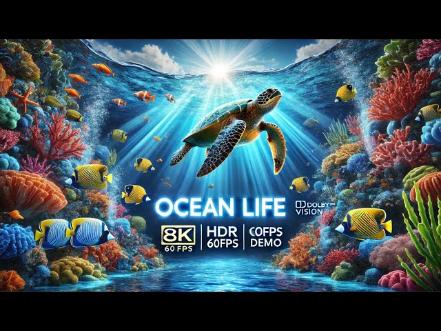 🌊 Ocean Life in Stunning 8K HDR | OLED Demo | Dolby Vision™ 60FPS"