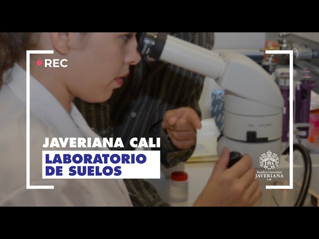 Haz un recorrido por el Laboratorio de suelos y conoce sus servicios