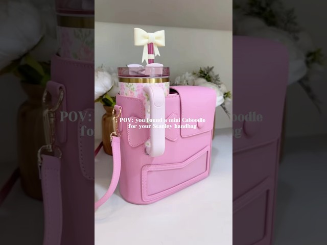 Caboodle for your handbag 🎀 #organization #travel #traveling #pink #stanleycup