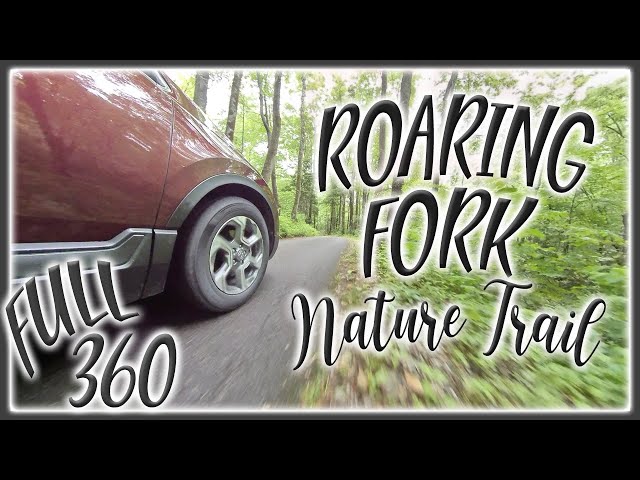 Roaring Fork Motor Nature Trail | Gatlinburg 360