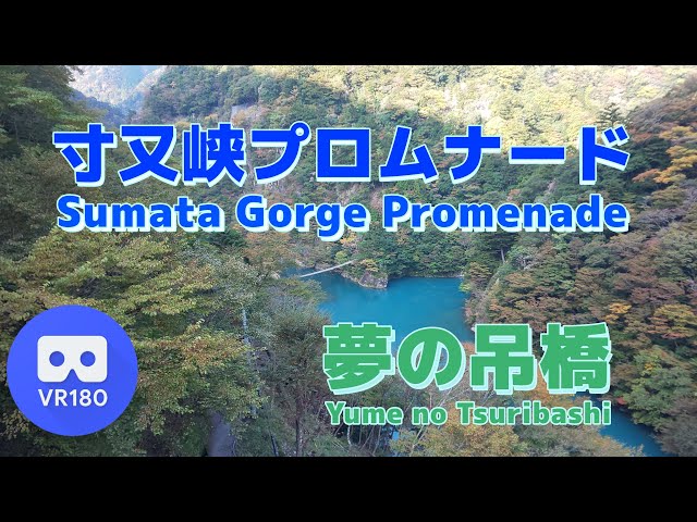 【VR名所】寸又峡ハイキング~Sumatakyo Promenade~【夢の吊橋】