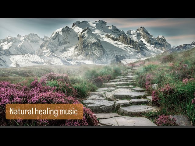 Beautiful Music For Relaxation | Meditation Music | Healing Music | Relaxing Piano Music | #peace