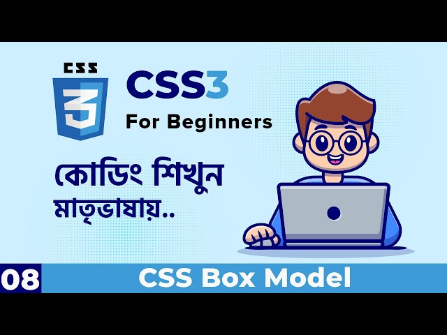 CSS Box Model Explained in Bangla | CSS3 For Beginners