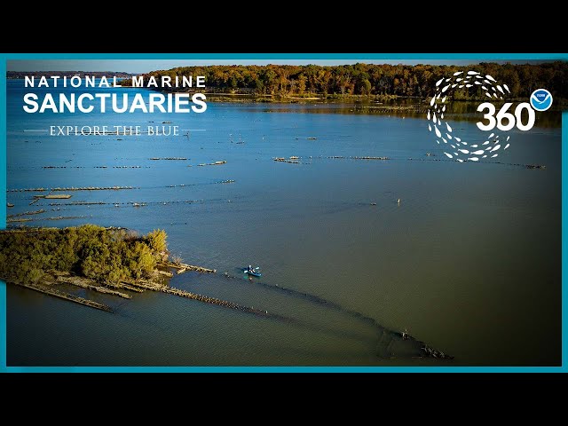 Explore the Blue: 360° Mallows Bay Ghost Fleet