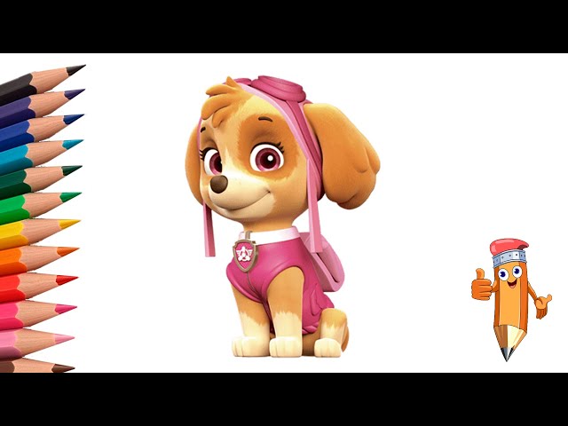 How to draw Paw patrol Skye easy step by step