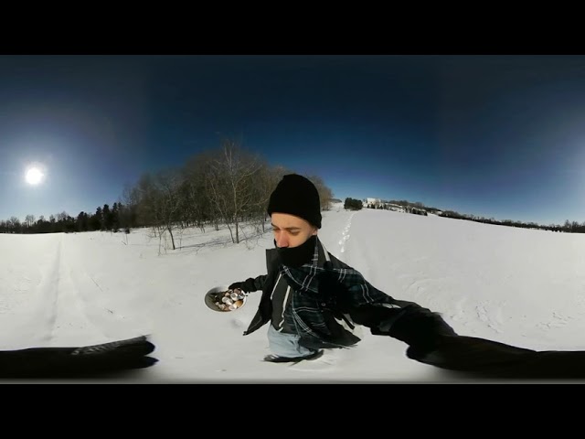 Walking in a snowy field on a cold day (ASMR?)