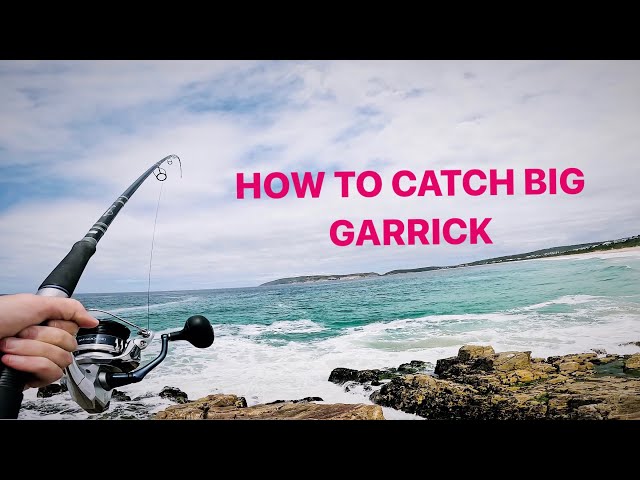 TARGETING GARRICK IN THE GARDEN ROUTE SOUTH AFRICA!