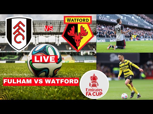 Fulham vs Watford Live Stream FA Cup Football Match Today Score Commentary Highlights FC Vivo 2025