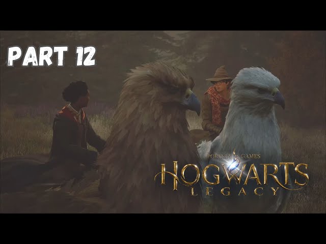 Do This To Fly a Hippogriff - Hogwarts Legacy Walkthrough Part 12 PS5