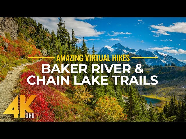 4K Virtual Hike Near River through the Forest - Baker River Trail & Chain Lake Trail