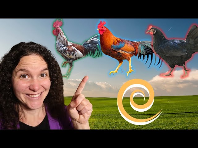 Use the Spiral Breeding Method for a SUSTAINABLE flock