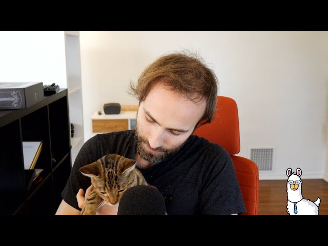 Q&A January 2021 (now with cat)