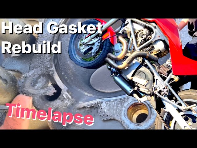 Head gasket rebuild on Buell Lightning/Sportster motor. Timelapse.