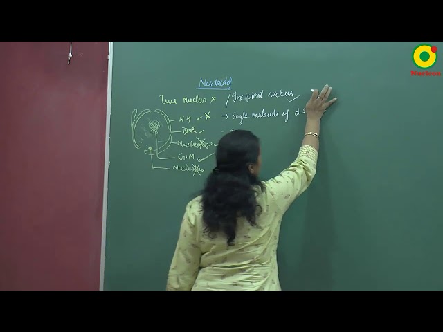 Biological Classification-07 by AN Ma'am II NEET (Biology)