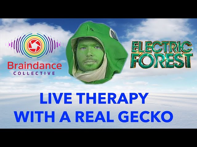 (VR 360 Braindance) Therapy Gecko Full Episode at Electric Forest 2023