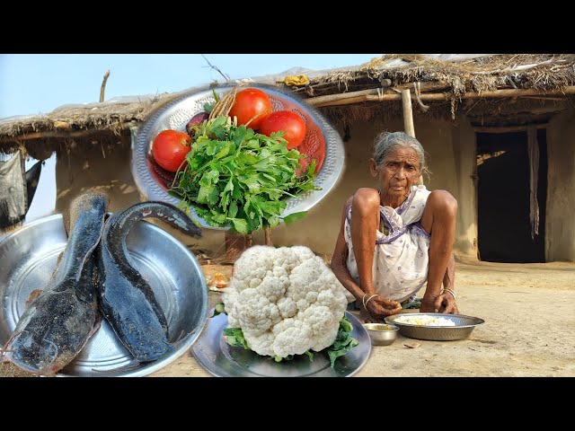 rural poor widow Grandma cooking MAGUR FISH with Cauliflower & tomato recipe & eating||Village food