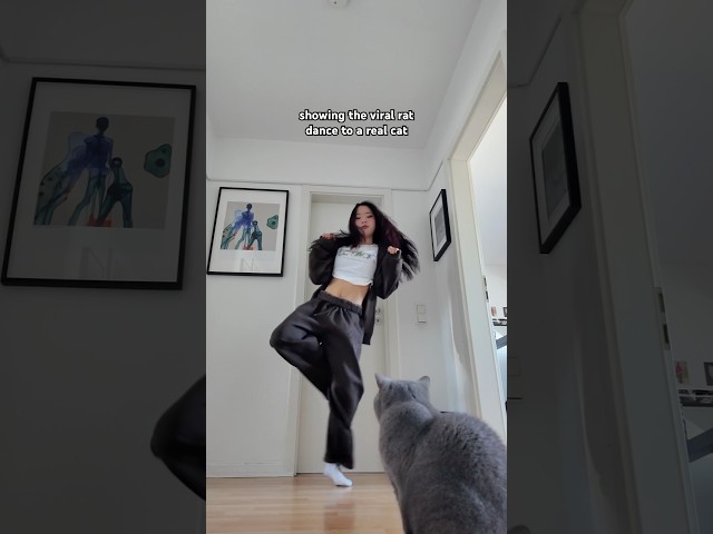 Viral rat dance infront of a real cat #ratdance #rat #dance #dancechallenge #dancetrend #dancer