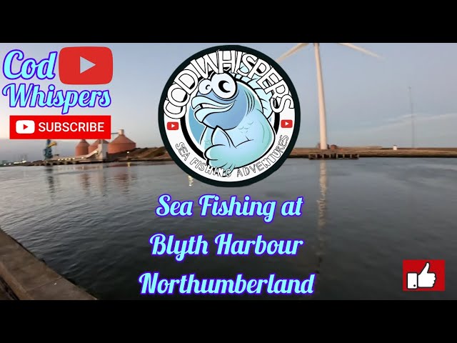 Sea Fishing at Blyth Harbour Northumberland