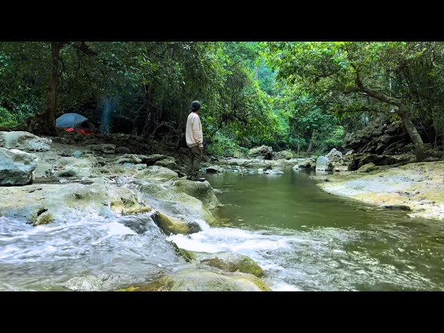 [ASMR] solo camping sulawesi selatan - indonesia.