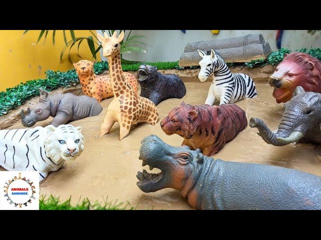 Fun Learning Wild Animals for Kids with Ryan & Zayan | Kids Videos for Kids | Animals Sandbox