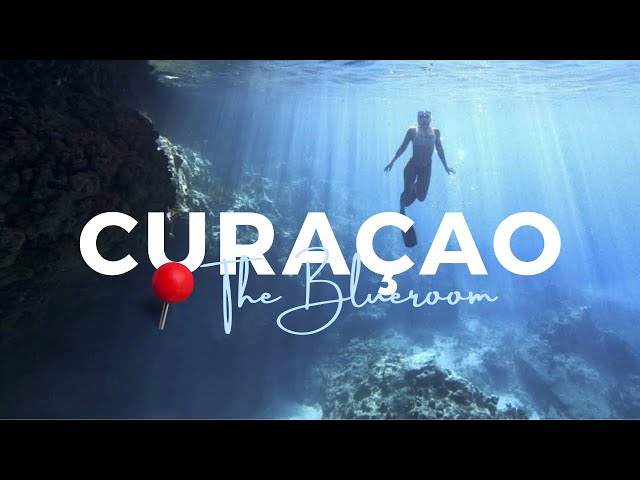 I'M BACK! | THE BLUE ROOM & TUGBOAT CURAÇAO