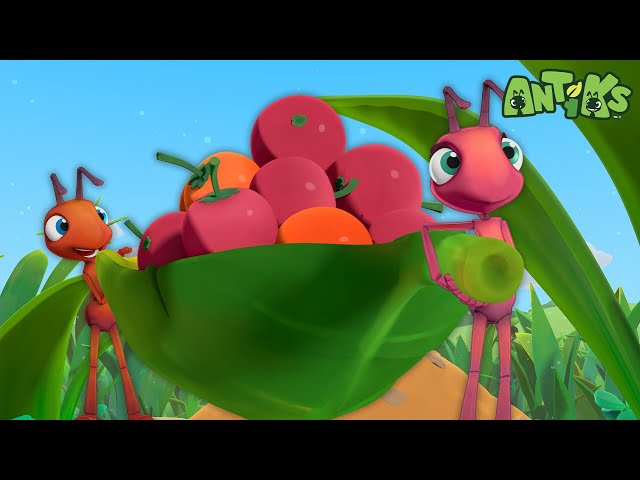 The Great Berry Rescue | Antiks 🐜 | Funny Cartoons for Kids