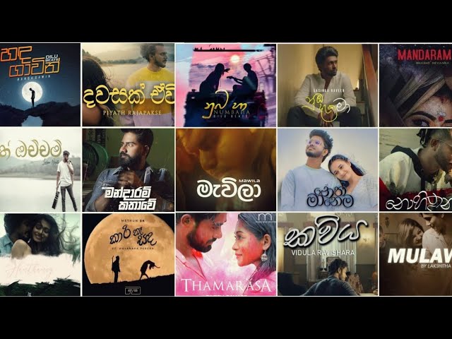 New Sinhala Song 2024 | මනෝපාරකට හොඳම සිංදු | sinhala Song new #beatzzhouse