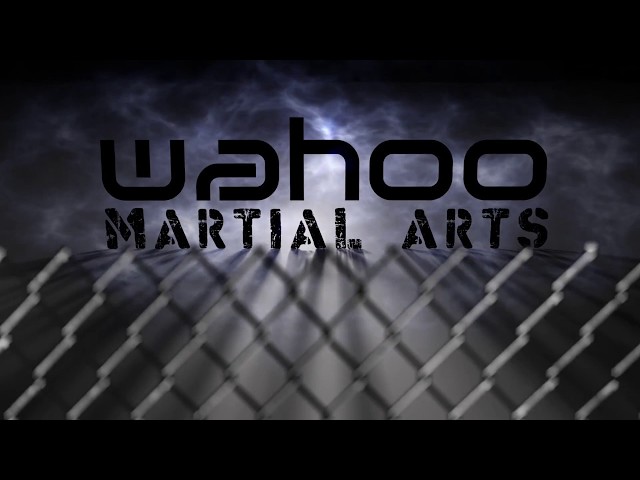 Warrior MMA