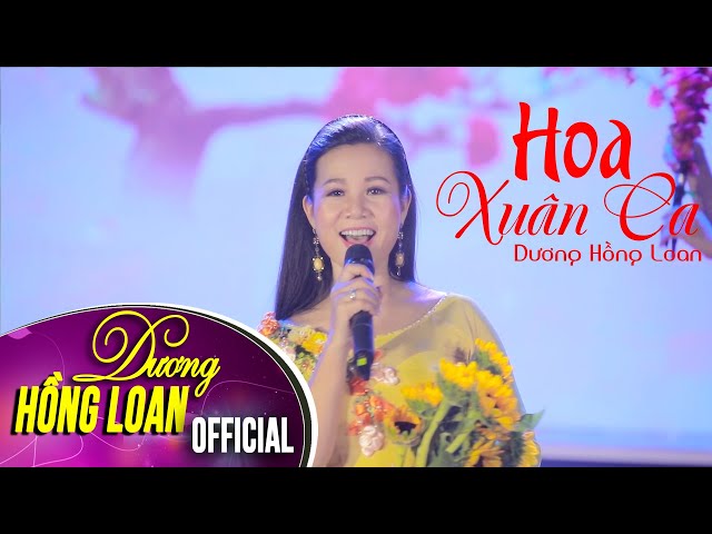 Hoa Xuân Ca - St Trịnh Công Sơn - Dương Hồng Loan