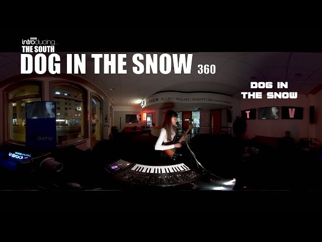 DOG IN THE SNOW - TV