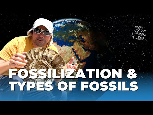 Fossilization & Types of Fossils