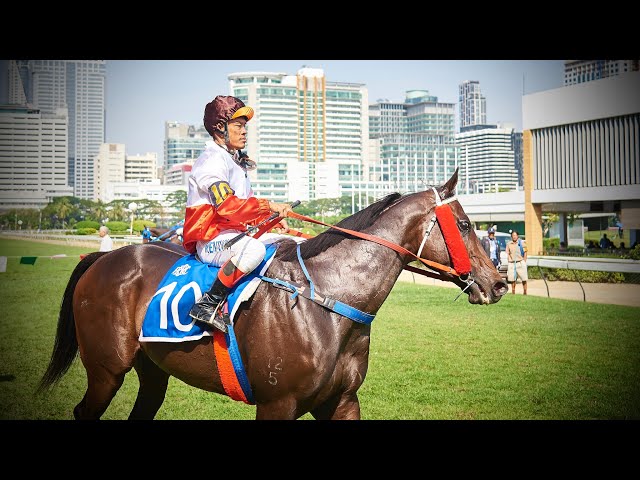 MANGKORN ISAAN wins! (Krub Phom relegated to 2nd) - 05/01/2025 - Race 4 - Thoroughbred Division 2