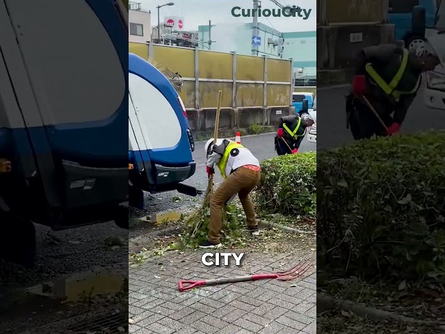 The Culture of Cleanliness in Japan