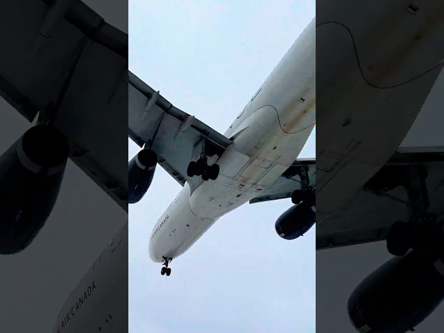 Huge Airbus A330 landing over head #planelanding #planespotting #aircraft #aircanada