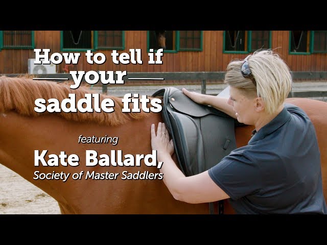 How to tell if your saddle fits | Kate Ballard, Society of Master Saddlers