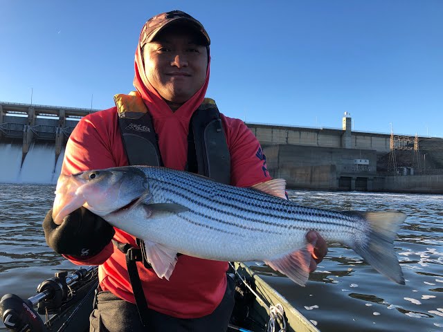 Striper Fishing 2022 Rods Reels and Gear Needed - OOW Outdoors