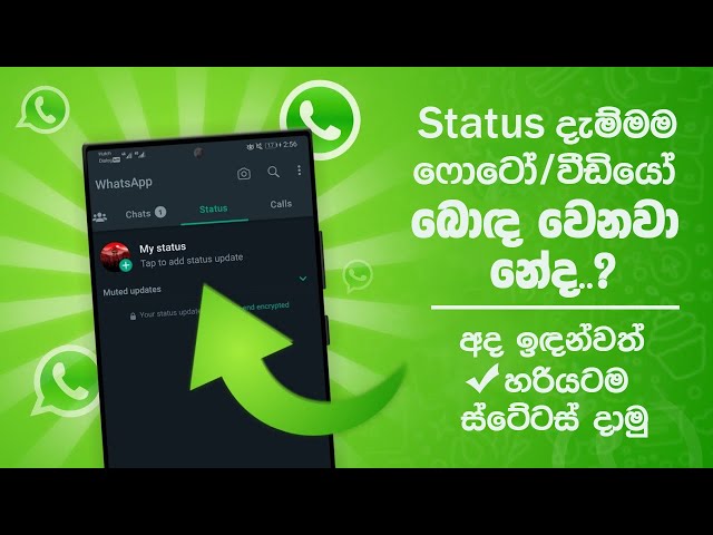 How to upload high quality WhatsApp status | New Whatsapp tips and tricks 2023 Whatsapp rahas