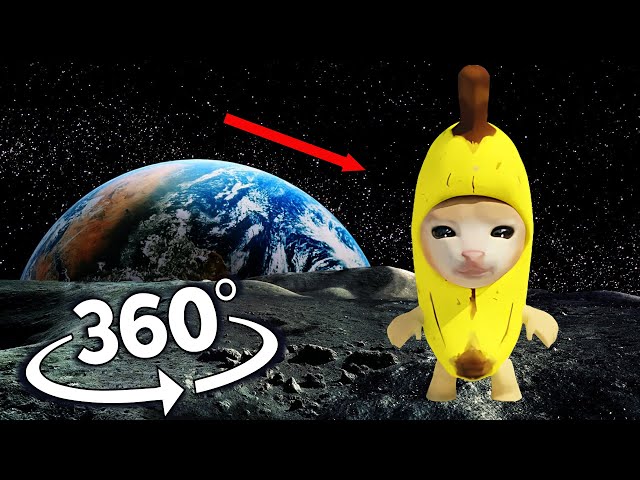 Banana Cat Finding Challenge But It's 360 degree video #3