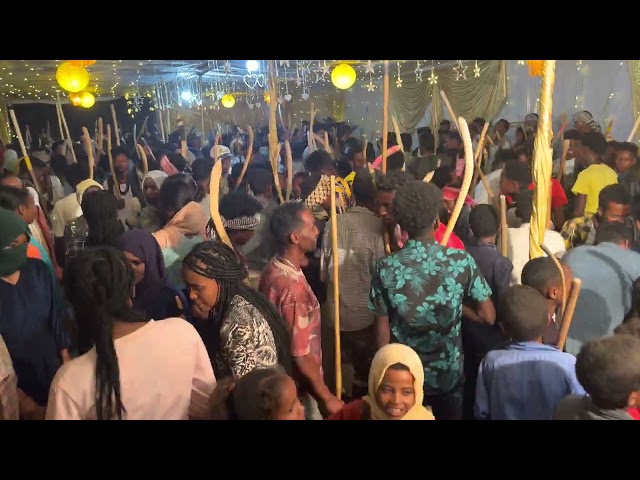 Eritrea bilen wedding in Megarih (Titri) Medhin & Sara wedding 2023