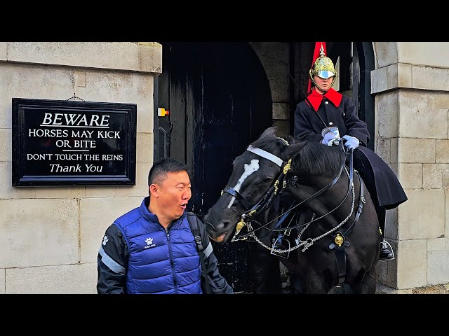 THE SIGNS HAVEN'T REVERTED! VINTAGE ORMONDE SHOWS HOW DIFFERENT THINGS ARE at Horse Guards!