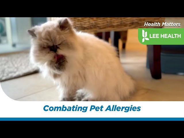 Combating Pet Allergies