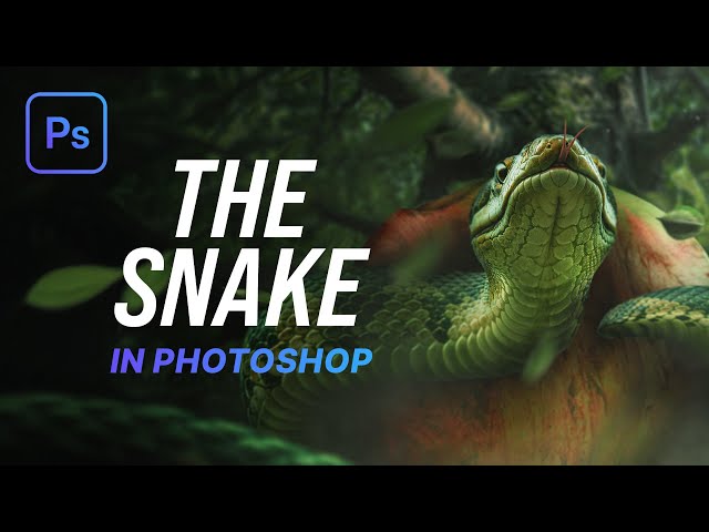 Live Photo Manipulation in Adobe Photoshop - Part 2